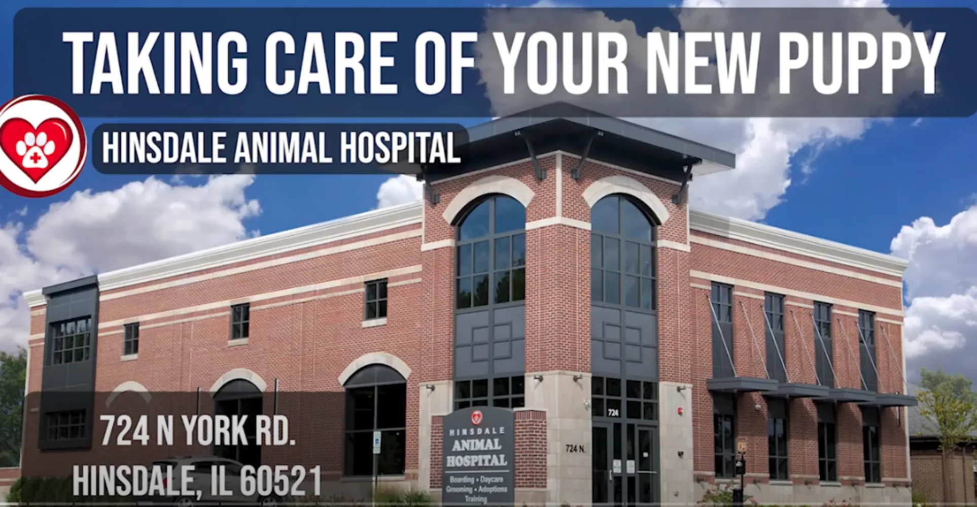 Hinsdale Animal Hospital, Taking Care of a New Puppy Video